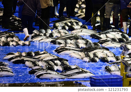 Himi Yellowtail Himi Yellowtail 121231793