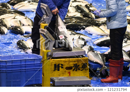 Himi Yellowtail 121231794