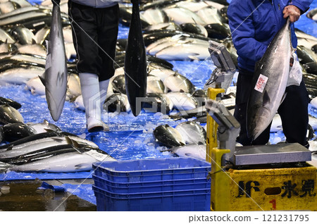 Himi Yellowtail 121231795