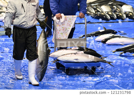 Himi Yellowtail 121231798