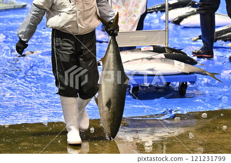 Himi Yellowtail 121231799