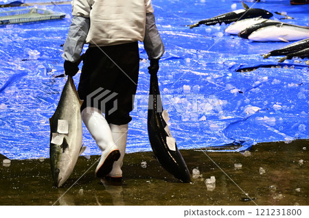 冰見鰤魚 121231800
