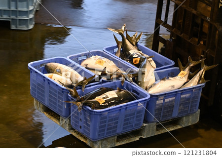 Himi Yellowtail Himi Yellowtail 121231804