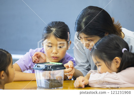 小學生觀察昆蟲籠 小學生觀察昆蟲籠 121231908