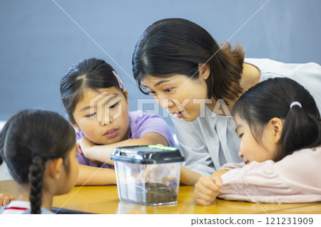 Elementary school students observing an insect cage 121231909