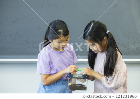 Elementary school students observing an insect cage 121231960
