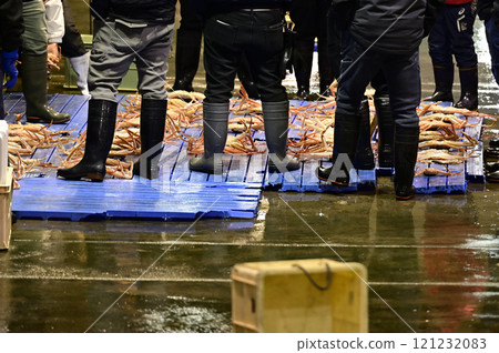 Snow crab from Toyama 121232083