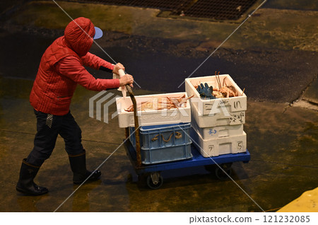 Snow crab from Toyama 121232085