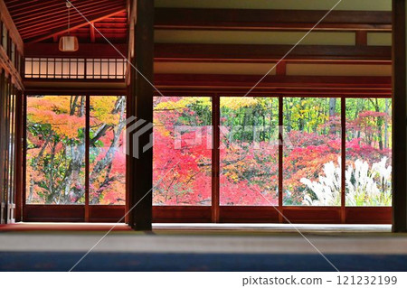 Nanzenji Temple - Autumn leaves at Tenjuan and Nishikigoi carp swimming in the strolling pond garden Nanzenji Temple - Autumn leaves at Tenjuan and Nishikigoi carp swimming in the strolling pond garden 121232199