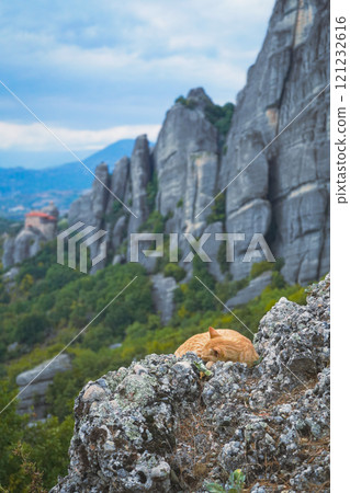 希臘梅黛奧拉：一隻在岩石高地上頑強生活的貓 121232616