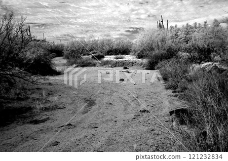 Arizona Desert Arroyo in Infrared Arizona Desert Arroyo in Infrared 121232834
