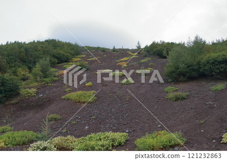 從富士山五合目眺望的景色 121232863