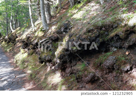 View from the 5th station of Mt. Fuji 121232905