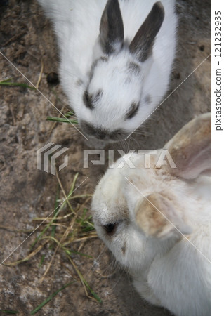 第一次外出 第一次外出 121232935