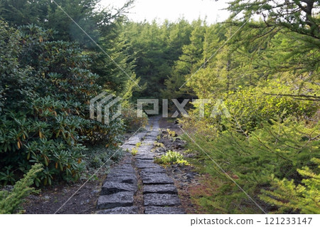 從富士山五合目眺望的景色 從富士山五合目眺望的景色 121233147