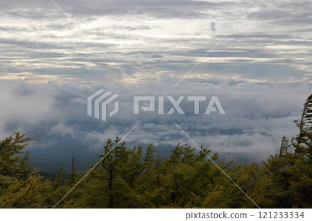 View from the 5th station of Mt. Fuji 121233334