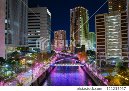 東京品川區目黑川的燈光秀 121233937