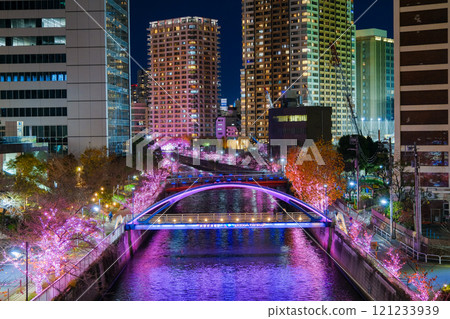 東京品川區目黑川的燈光秀 121233939