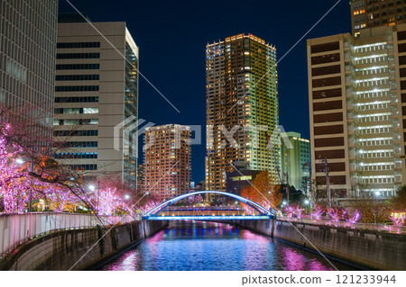 Illuminations along Meguro River in Shinagawa, Tokyo 121233944