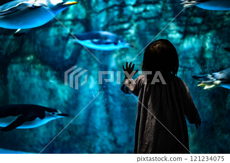 認識企鵝 121234075