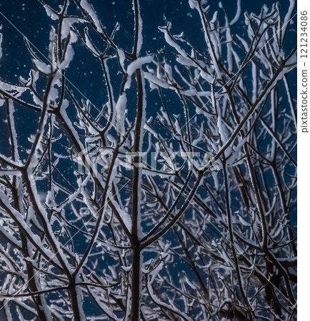 Cold winter image 121234086