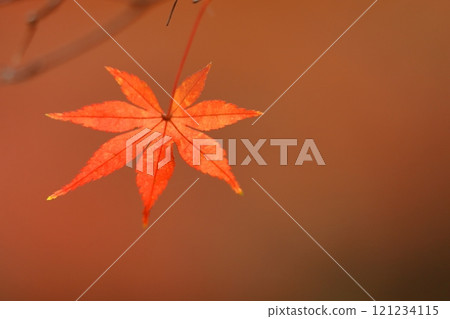 Burning Autumn Burning Autumn 121234115