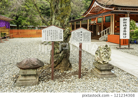 Fujisan Hongu Sengen Taisha Shrine, Antarctic stones and volcanic bombs, Fujinomiya City, Shizuoka Prefecture 121234308