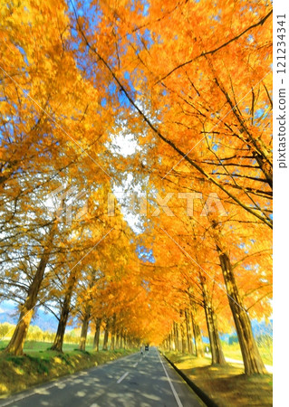[滋賀縣]牧野採園的水杉紅葉 121234341