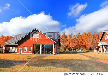 [滋賀縣]牧野採園的水杉紅葉 121234379