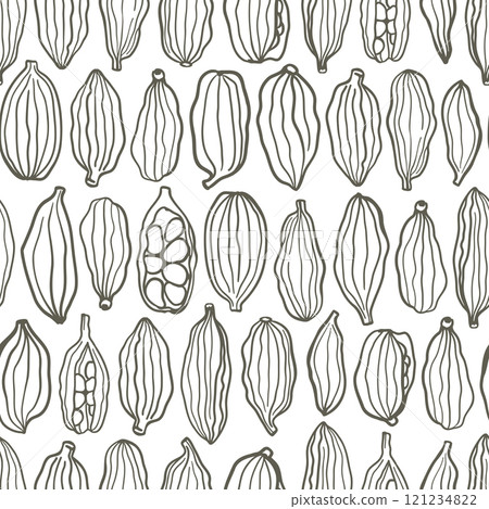 Hand drawn simple monochrome cardamom seamless pattern 121234822