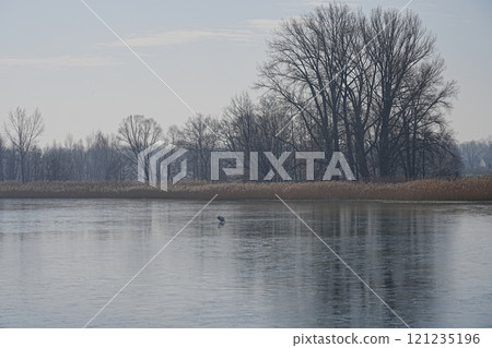 Scenic Vistula river in Goczalkowice town at Silesian in Poland 121235196