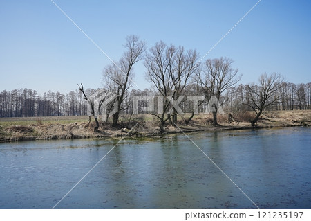 Vistula river in Goczalkowice town at Silesian in Poland 121235197