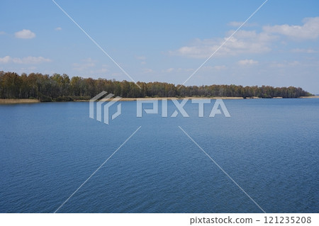 Forest on horizon at lake in Goczalkowice town in Poland 121235208