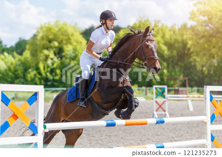 Equestrian show jumping competition with rider and horse in sunny arena 121235273