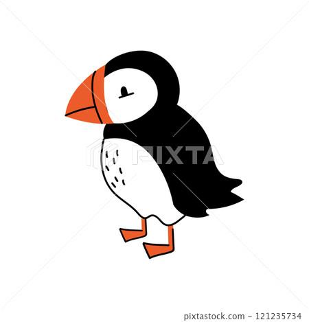 An illustration of a cute cartoon puffin. Fun Atlantic bird print. 121235734