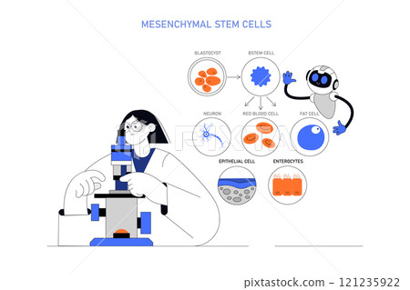 Mesenchymal stem cells concept. Scientist examining stem cells differentiation into various cell types. Educational biology vector illustration. Mesenchymal stem cells concept. Scientist examining stem cells differentiation into various cell types. Educational biology vector illustration. 121235922