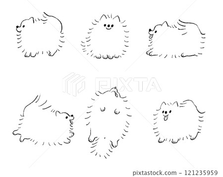 簡單的博美犬 121235959