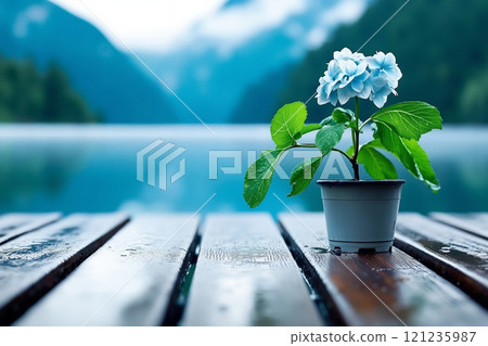 A small blue flower in a pot on a wooden table 121235987