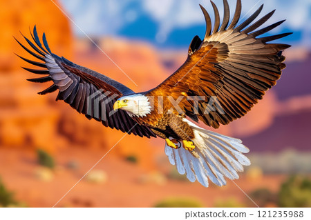 A bald eagle flying through the air with its wings spread 121235988