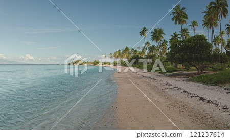 Palm trees along shoreline white sand beach and turquoise waters of the pacific ocean, a tropical paradise island under blue sunny sky. Remote wild nature, exotic summer travel. Aerial drone shot 121237614