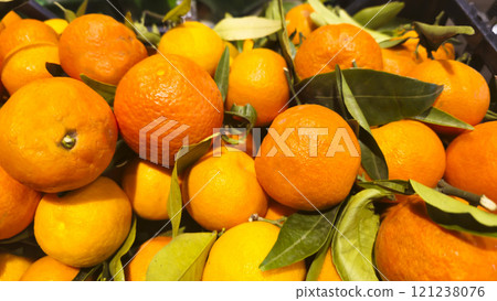 Tangerines in a box on a store counter. Green leaves nearby Tangerines in a box on a store counter. Green leaves nearby 121238076