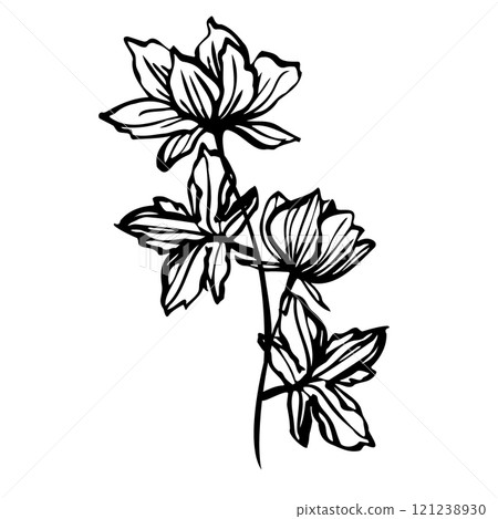 vector bouquet with elegant hand drawn botanical line art with flowers and leaves for crafting, invitations, coloring books, tattoos, and minimalist decor. illustration for creative projects vector bouquet with elegant hand drawn botanical line art with flowers and leaves for crafting, invitations, coloring books, tattoos, and minimalist decor. illustration for creative projects 121238930