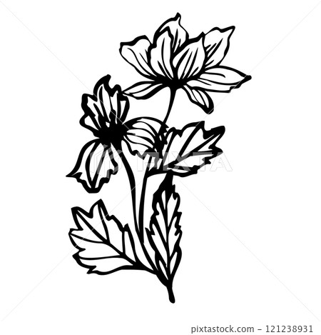 bouquet with elegant hand drawn botanical line art with flowers and leaves for crafting, invitations, coloring books, tattoos, and minimalist decor. vector illustration for creative projects bouquet with elegant hand drawn botanical line art with flowers and leaves for crafting, invitations, coloring books, tattoos, and minimalist decor. vector illustration for creative projects 121238931