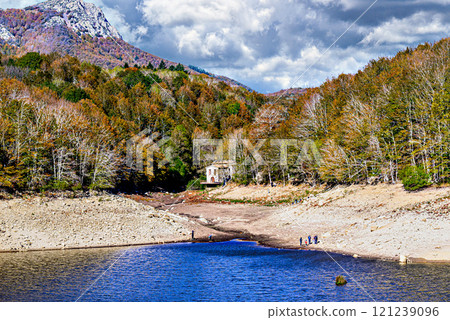 Colorful trees and leaves in autumn in the Montseny Natural Park in Barcelona, Spain 121239096