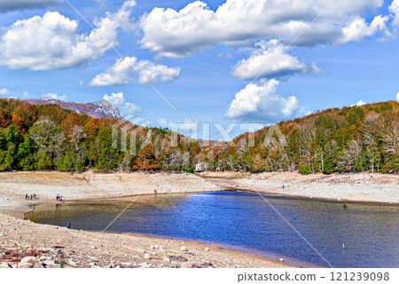 Colorful trees and leaves in autumn in the Montseny Natural Park in Barcelona, Spain 121239098