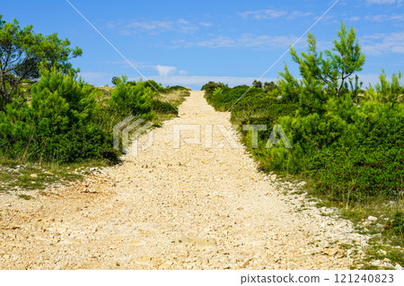 Coarse rocky gravel road in rural area, perspective view, blue sky over horizon Coarse rocky gravel road in rural area, perspective view, blue sky over horizon 121240823