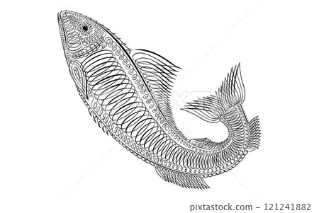 Calligraphic Illustration Of Fish .Coral reef fish. Black and white linear drawing. 121241882