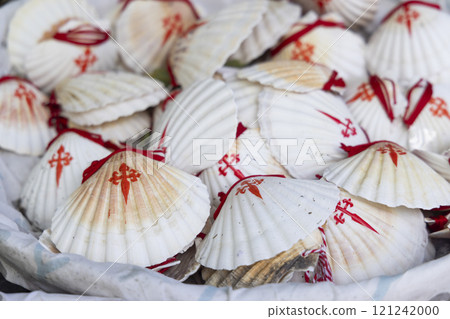 the symbol of the Way of St. James, the shell of St. Jacob the symbol of the Way of St. James, the shell of St. Jacob 121242000