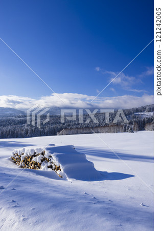 Typical winter landscape with logs wood near Modrava, Nation park Sumava, Czech Republic 121242005