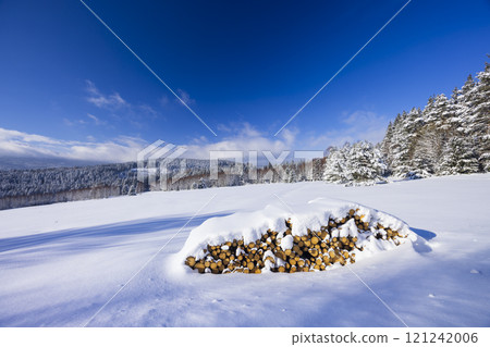 Typical winter landscape with logs wood near Modrava, Nation park Sumava, Czech Republic 121242006